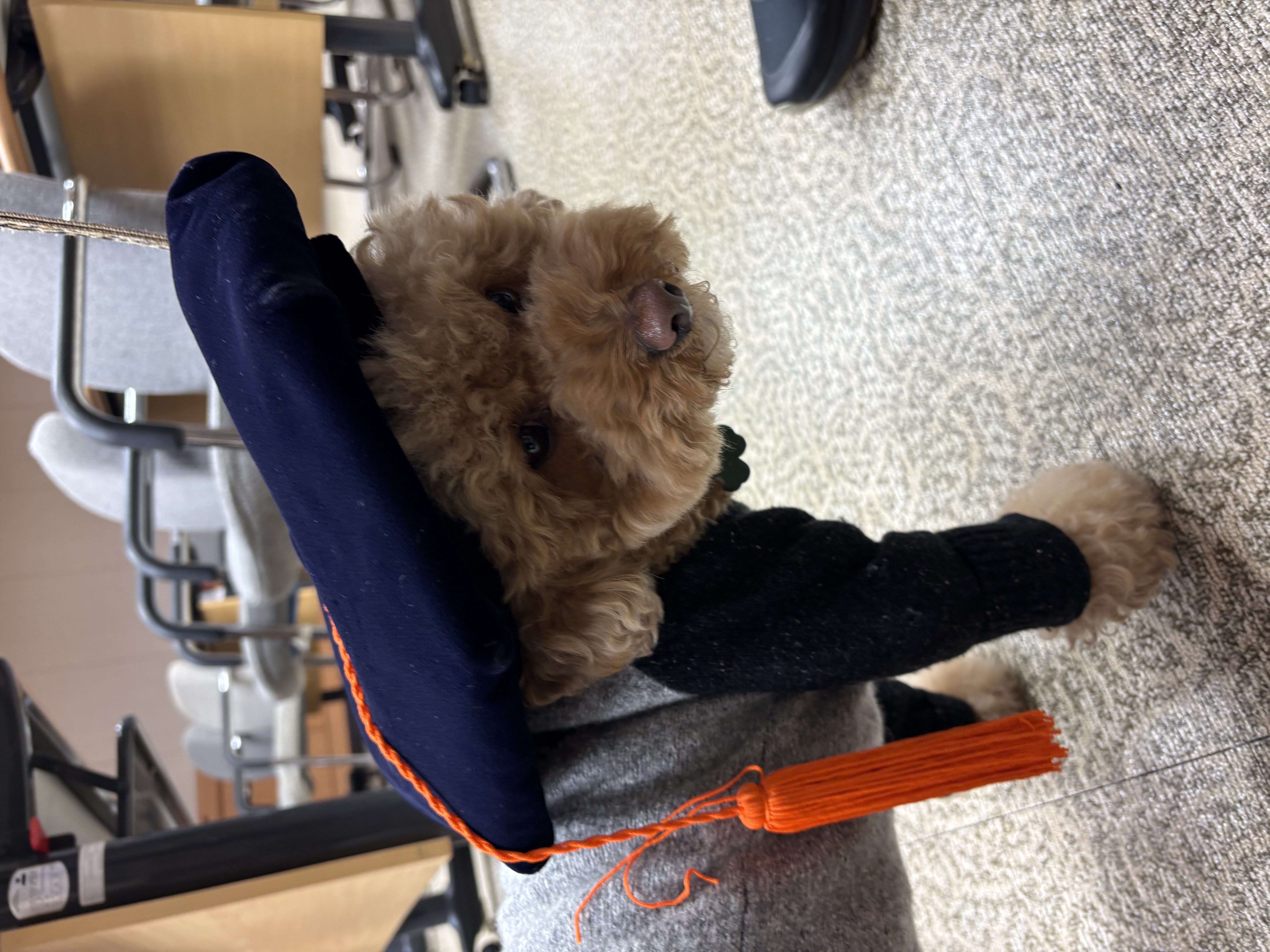 KakaoTalk_20260222_162201935_01.jpg 첨부 이미지